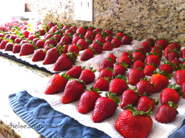 lots-of-strawberries