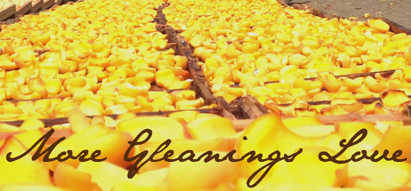 more-gleanings-love