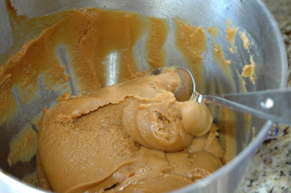 ginger-cookie-dough
