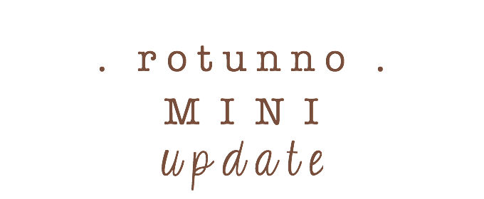 1-mini-update