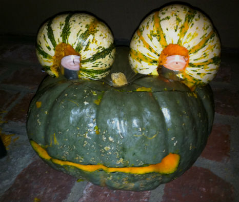 sn-frog-pumpkin-1